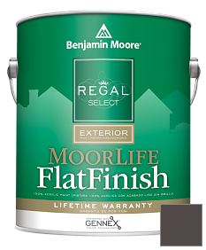 Краска Regal Select Exterior Paint-MoorLife Flat Finish (W105) цвет 2130-10 Black Bean Soup
