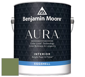 Benjamin Moore Aura 524 Waterborne Interior Eggshell Finish краска цвет 546 Courtyard Green