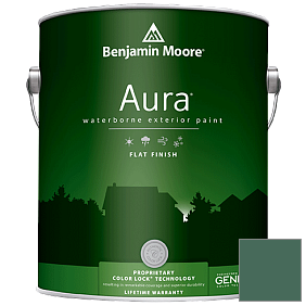 Краска Aura Waterborne Exterior Flat Finish (629) цвет 2041-20 Fiddlehead Green