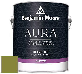 Benjamin Moore Aura 522 Interior Paint - Matte краска цвет 2146-10 Dark Celery