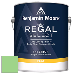 Benjamin Moore 547 Regal Select Waterborne Interior Flat Finish краска цвет NCS S 0550-G20Y 
