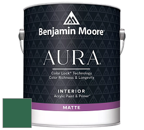 Benjamin Moore Aura 522 Interior Paint - Matte краска цвет NCS S 5040-G 