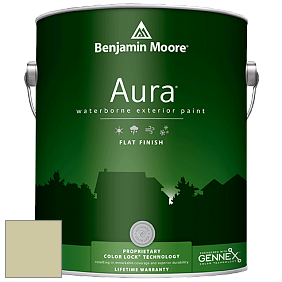 Benjamin Moore Aura 629 Waterborne Exterior Flat Finish краска цвет 2145-40 Fernwood Green