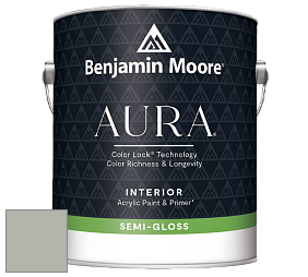 Benjamin Moore Aura 528 Waterborne Interior Semi-gloss Finish краска цвет 2138-50 Misted Green