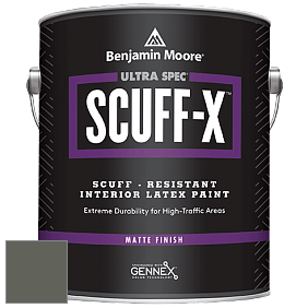 Benjamin Moore 484 Ultra Spec SCUFF-X Interior Matte Finish краска цвет NCS S 7005-G50Y 