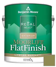 Краска Regal Select Exterior Paint-MoorLife Flat Finish (W105) цвет 2145-20 Terrapin Green
