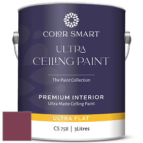 COLOR SMART CS 758 ULTRA CEILING PAINT ультраматовая краска цвет NCS S 4050-R20B 