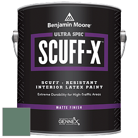 Benjamin Moore 484 Ultra Spec SCUFF-X Interior Matte Finish краска цвет NCS S 5020-G 