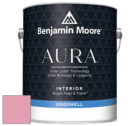 Benjamin Moore Aura 524 Waterborne Interior Eggshell Finish краска цвет NCS S 1040-R20B 
