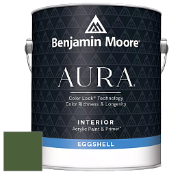 Benjamin Moore Aura 524 Waterborne Interior Eggshell Finish краска цвет NCS S 5540-G30Y 