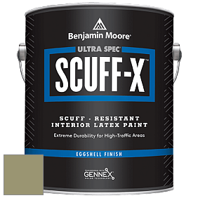 Benjamin Moore 485 Ultra Spec SCUFF-X Interior Eggshell Finish краска цвет NCS S 4020-G70Y 