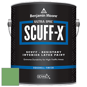 Benjamin Moore 485 Ultra Spec SCUFF-X Interior Eggshell Finish краска цвет NCS S 2050-G20Y 