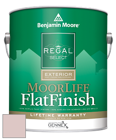 Benjamin Moore W105 Regal Select Exterior Paint-MoorLife Flat Finish краска цвет 2102-60 Honey Hut
