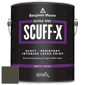 Benjamin Moore 484 Ultra Spec SCUFF-X Interior Matte Finish краска цвет NCS S 8010-G70Y 