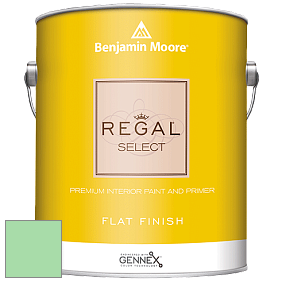 Benjamin Moore 547 Regal Select Waterborne Interior Flat Finish краска цвет NCS S 0540-G10Y 