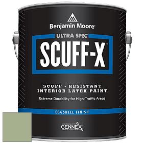 Benjamin Moore 485 Ultra Spec SCUFF-X Interior Eggshell Finish краска цвет AF-450 
