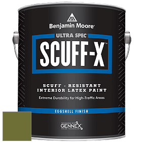 Benjamin Moore 485 Ultra Spec SCUFF-X Interior Eggshell Finish краска цвет NCS S 4550-G50Y 