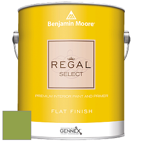 Benjamin Moore 547 Regal Select Waterborne Interior Flat Finish краска цвет NCS S 2060-G40Y 