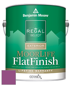 Benjamin Moore W105 Regal Select Exterior Paint-MoorLife Flat Finish краска цвет 2075-30 Pre-Dawn Sky
