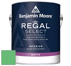 Benjamin Moore 548 IRegal Select Interior Paint - Matte краска цвет NCS S 1060-G10Y 