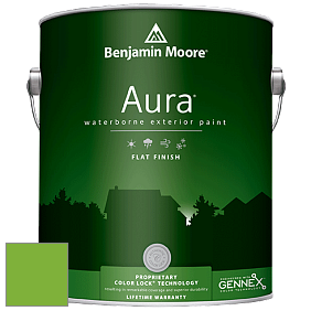 Benjamin Moore Aura 629 Waterborne Exterior Flat Finish краска цвет 2030-30 Lucky Charm Green
