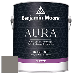 Benjamin Moore Aura 522 Interior Paint - Matte краска цвет NCS S 5502-Y20R 