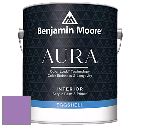 Benjamin Moore Aura 524 Waterborne Interior Eggshell Finish краска цвет NCS S 2050-R50B 