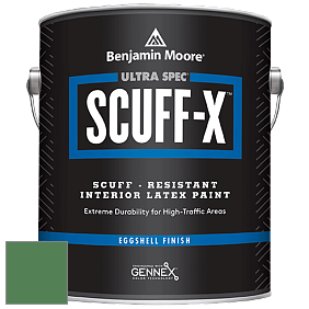 Benjamin Moore 485 Ultra Spec SCUFF-X Interior Eggshell Finish краска цвет 2036-20 Irish Moss