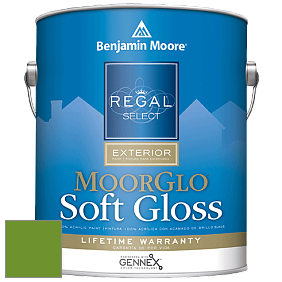 Benjamin Moore W096 Regal Select Exterior Paint-Moor GloSoft Gloss Finish краска цвет 2029-10 Basil Green