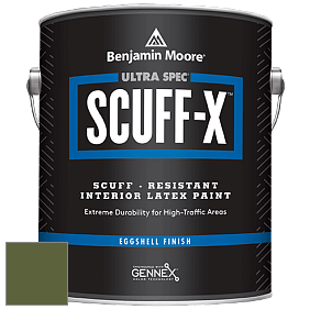 Benjamin Moore 485 Ultra Spec SCUFF-X Interior Eggshell Finish краска цвет NCS S 5540-G40Y 