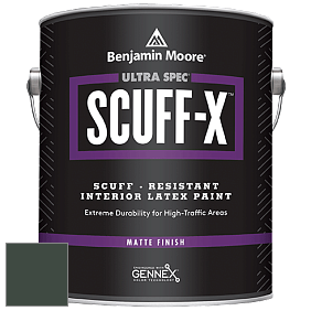 Benjamin Moore 484 Ultra Spec SCUFF-X Interior Matte Finish краска цвет NCS S 8010-G10Y 