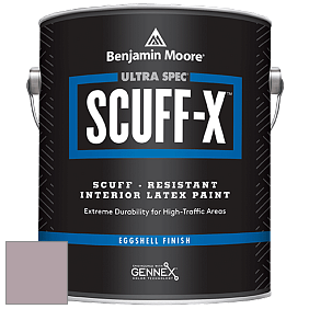Benjamin Moore 485 Ultra Spec SCUFF-X Interior Eggshell Finish краска цвет NCS S 3010-R20B 