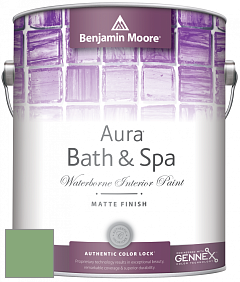 Benjamin Moore Aura 532 Bath & Spa Waterborne Interior Paint Matte Finish краска цвет 565 Aurora Borealis