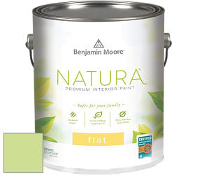Benjamin Moore 512 Natura Interior Flat Finish матовая краска цвет NCS S 0540-G40Y 