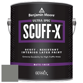 Benjamin Moore 484 Ultra Spec SCUFF-X Interior Matte Finish краска цвет NCS S 5502-G50Y 
