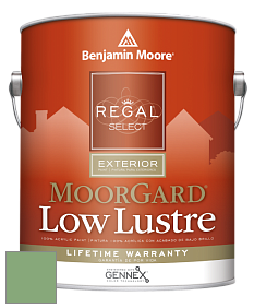 Benjamin Moore W103 Regal Select Exterior Paint-MoorGard Low Lustre Finish краска цвет 565 Aurora Borealis