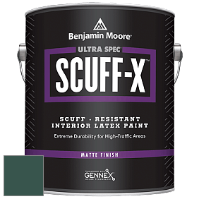 Benjamin Moore 484 Ultra Spec SCUFF-X Interior Matte Finish краска цвет 2047-10 Forest Green
