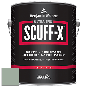 Benjamin Moore 486 Ultra Spec SCUFF-X Interior Satin Finish краска цвет NCS S 3010-G10Y 