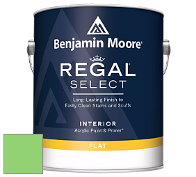 Benjamin Moore 547 Regal Select Waterborne Interior Flat Finish краска цвет NCS S 0560-G20Y 