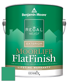 Benjamin Moore W105 Regal Select Exterior Paint-MoorLife Flat Finish краска цвет 2042-30 Hummingbird Green
