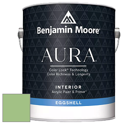 Benjamin Moore Aura 524 Waterborne Interior Eggshell Finish краска цвет 551 Exotic Bloom