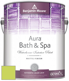 Benjamin Moore Aura 532 Bath & Spa Waterborne Interior Paint Matte Finish краска цвет NCS S 0560-G50Y 