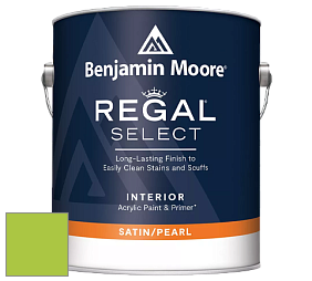 Benjamin Moore 550 Regal Select Waterborne Interior Pearl Finish краска цвет NCS S 0570-G40Y 