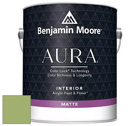 Benjamin Moore Aura 522 Interior Paint - Matte краска цвет NCS S 2040-G40Y 
