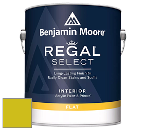 Benjamin Moore 547 Regal Select Waterborne Interior Flat Finish краска цвет NCS S 1075-G70Y 