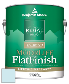 Benjamin Moore W105 Regal Select Exterior Paint-MoorLife Flat Finish краска цвет 2060-70 Tear Drop
