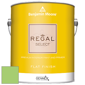 Benjamin Moore 547 Regal Select Waterborne Interior Flat Finish краска цвет 2030-40 Spring Leaf