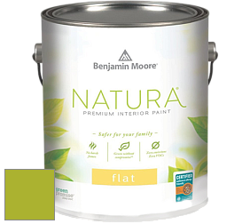 Benjamin Moore 512 Natura Interior Flat Finish матовая краска цвет 2028-30 Tequila Lime