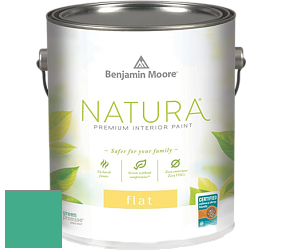 Benjamin Moore 512 Natura Interior Flat Finish матовая краска цвет NCS S 2050-B90G 