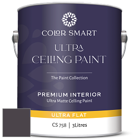 COLOR SMART CS 758 ULTRA CEILING PAINT ультраматовая краска цвет 2072-10 Dark Basalt
